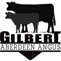 Gilbert Aberdeen Angus