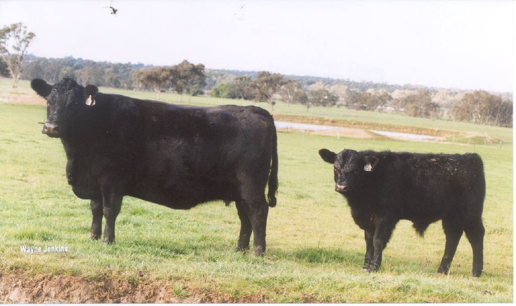 Ardrossan Delvene and Neron at her side